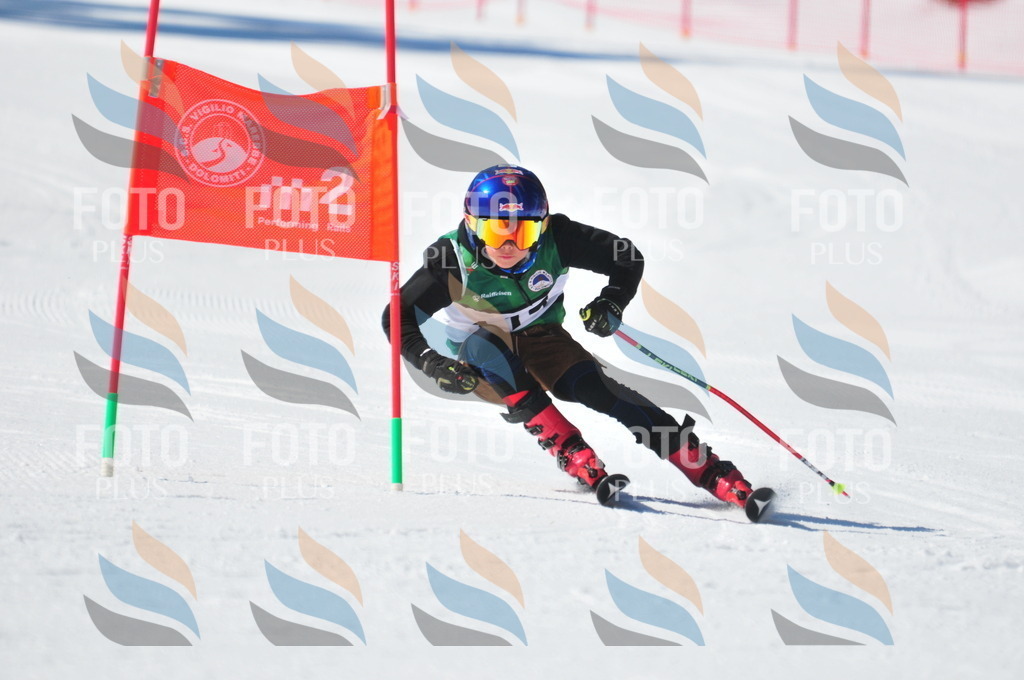 C3692 | holidayphoto