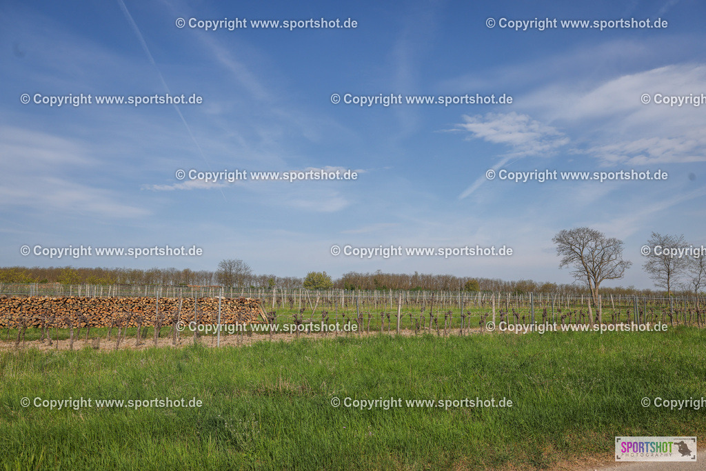 007A9075 | Neusiedlersee Radmarathon #neusiedlerseeradmarathon #neusiedlersee #nrm26 #yourpictrs #sportshot_your_pictrs