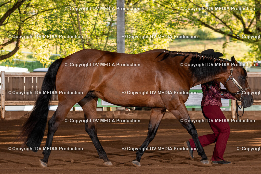 Erbach Tag 3-55 | dv-media-shop - Realisiert mit Pictrs.com