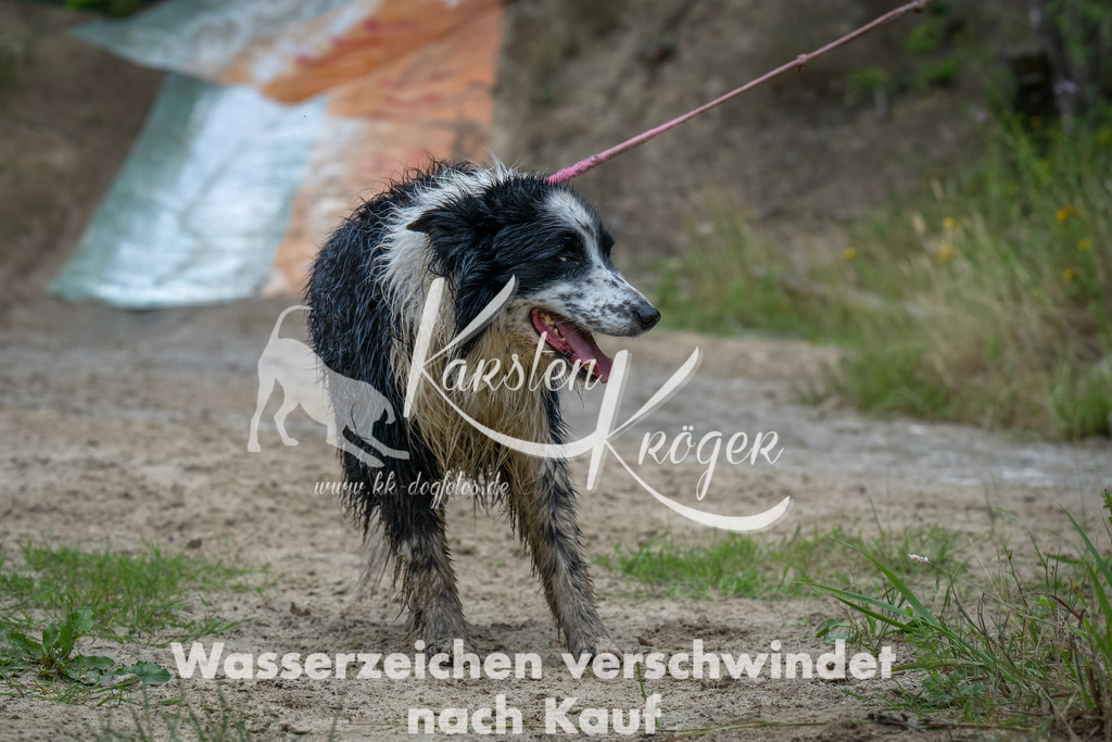 1618_ZZ90839-Bearbeitet | kk-dogfotos