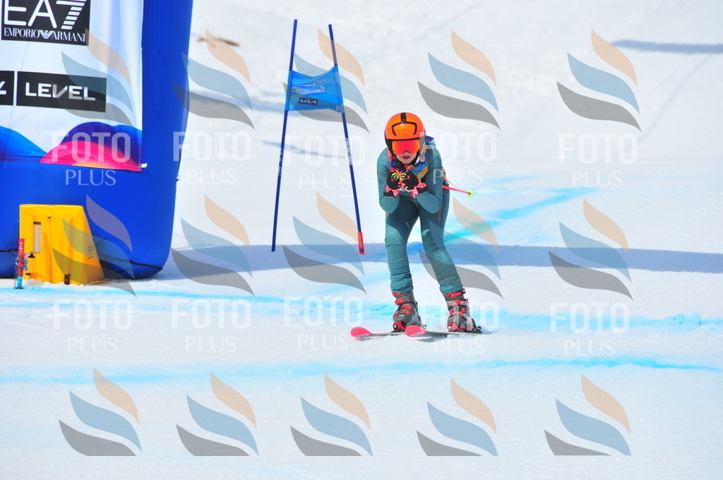 DSC_7019 | holidayphoto