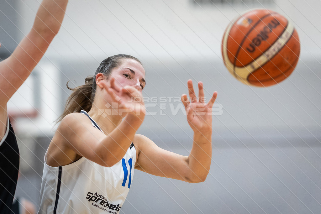 20260125_Picselweb-Fotografie_2R3_0542 | Dein Fotograf aus dem Landkreis Stade für Sport und Events - Realisiert mit Pictrs.com