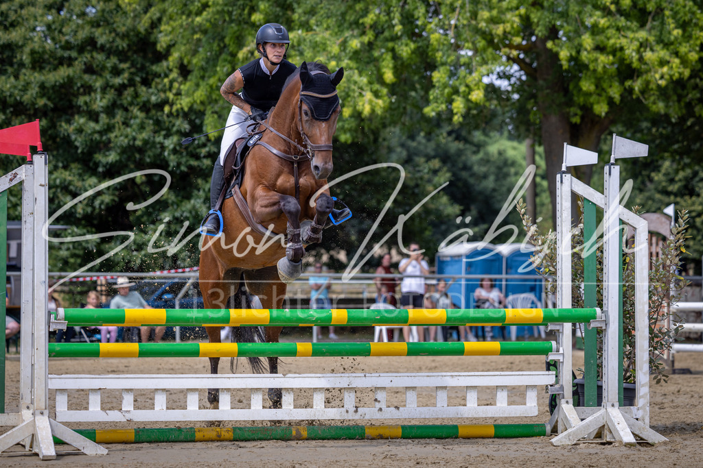 20260704-_3LI0195 | Tierfotografie Pferde, Hunde, Katzen, Haustiere.
Turnierfotografie Reitturniere, Reiten, Springreiten, Dressur in Hanau, dem Main-Kinzig-Kreis und dem Rhein-Main- Gebiet um Frankfurt
