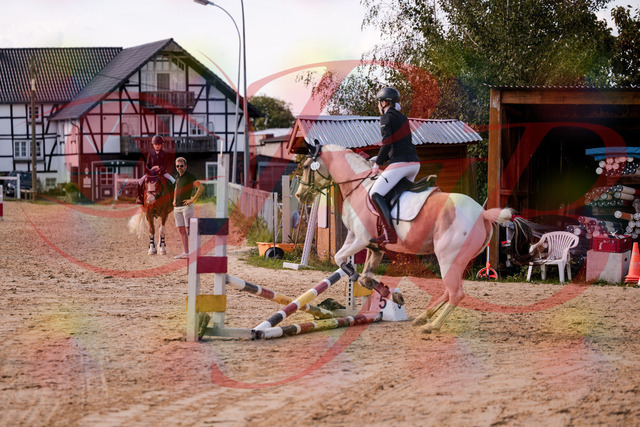 2026_10_03_Siefer-Hof_144302_Z81_16443721 | Professionelle Reitsport-, Turnier- und Eventfotografie von Robert Broda. Galerien mit ausgewählten und bearbeiteten Bildern direkt online ansehen und bestellen.