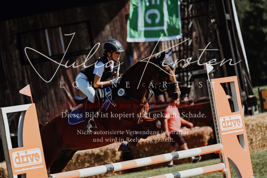 DSC_6931 | Pferde- und Turnierfotografie in Westsachsen. Pferdeportraits, Auftragszeichnungen und intuitive Kunst.