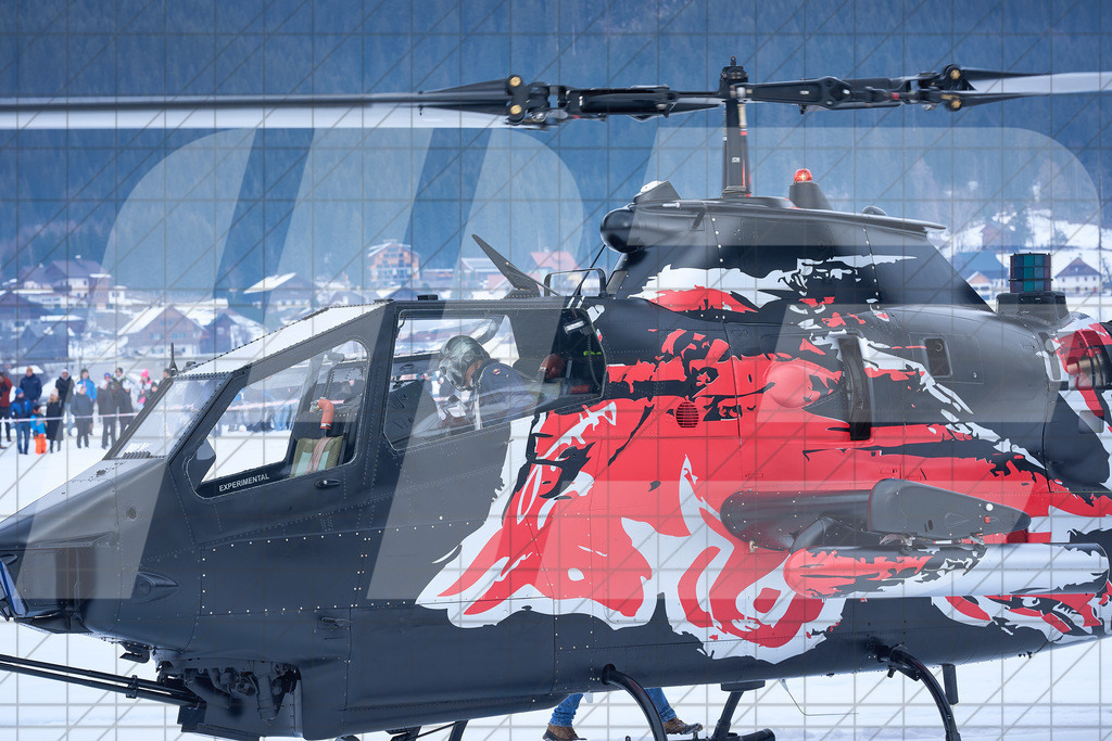 11. Holzknecht Skijöring | Skijöring am 24.01.2026: 11. Holzknecht Skijöring in Gosau am Dachstein, Oberösterreich, ÖsterreichFoto: © 2026 Martin Bihounek | mb-creative.eu