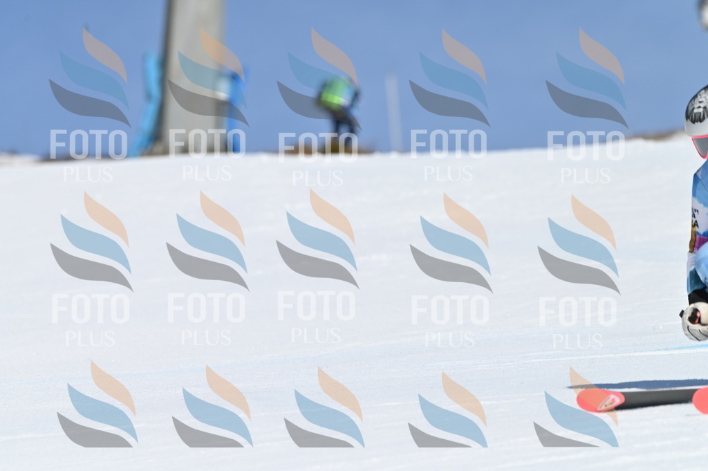 BGV_8694 | holidayphoto