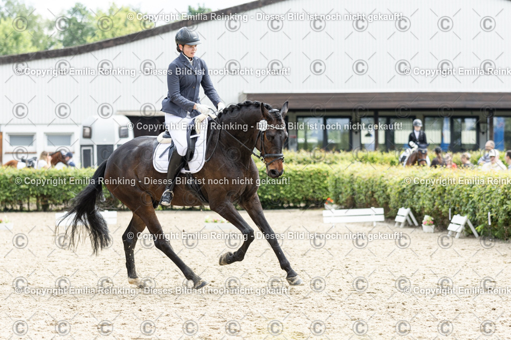 CL5A7573 | Emilia Reinking Fotografie - Realisiert mit Pictrs.com