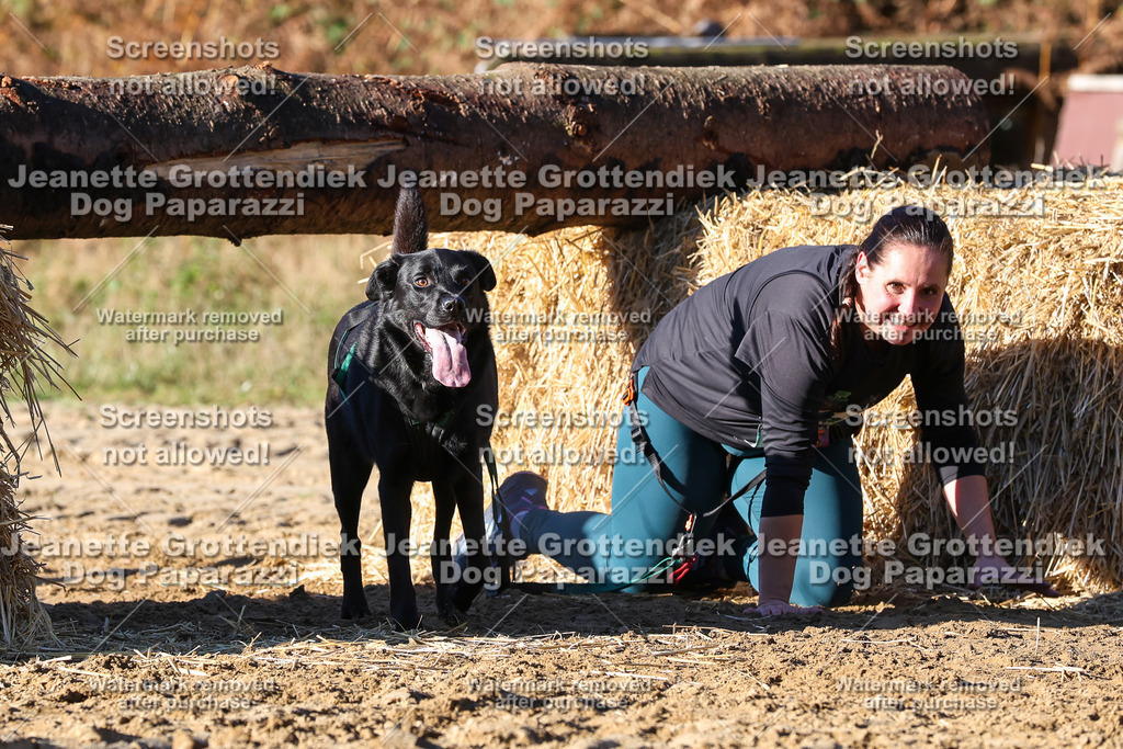 Dog Paparazzi - Strongdog 10-25-1735 | Dog Paparazzi Jeanette Grottendiek Fotografie & Videografie - Realisiert mit Pictrs.com