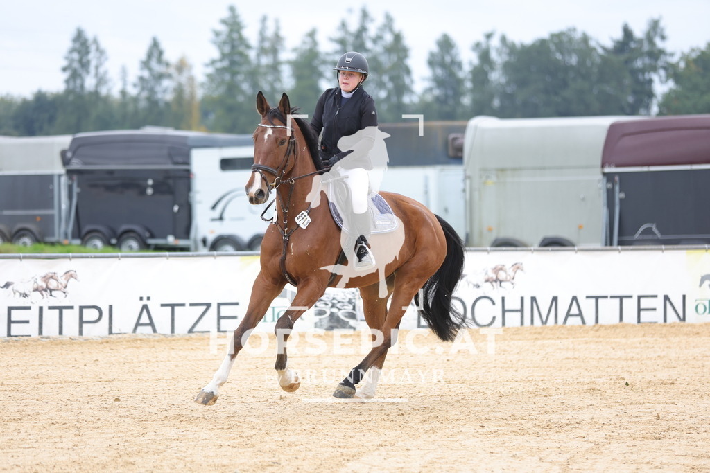 0P6A3750 | Willkommen bei Brunnmayr - Design & Fotografie – Ihrem Spezialisten für Reitturniere und Pferdeveranstaltungen in Oberösterreich, Salzburg und Bayern! Seit über 17 Jahren sind wir leidenschaftlich dabei.