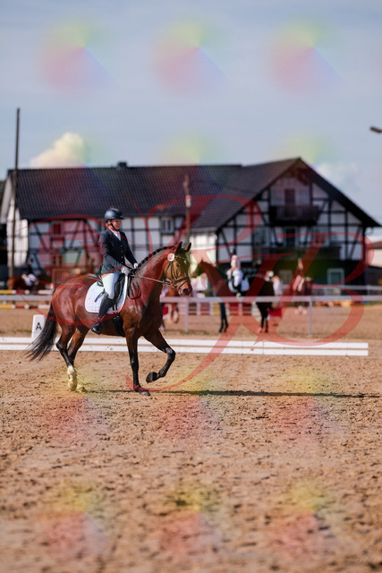 2026_10_03_Siefer-Hof_125731_Z81_45816722 | Professionelle Reitsport-, Turnier- und Eventfotografie von Robert Broda. Galerien mit ausgewählten und bearbeiteten Bildern direkt online ansehen und bestellen.