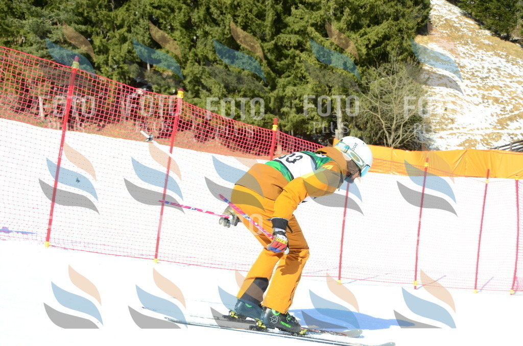 C6659 | holidayphoto