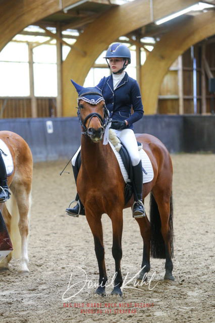 IMG_0762 | Turniersportfotografie; Pferdefotografie; Dressurfotografie