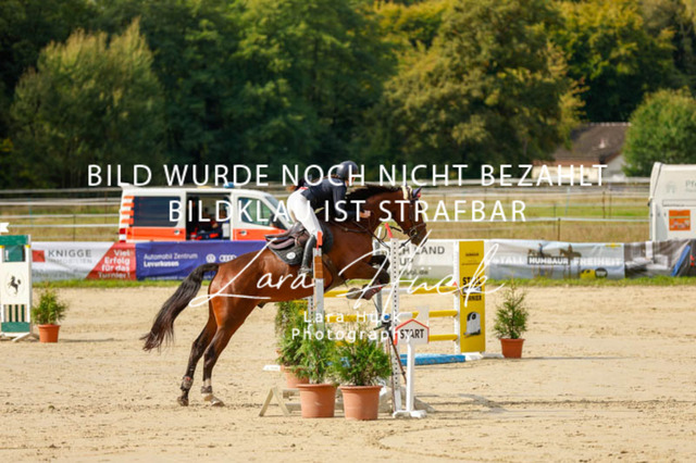 _62_9116 | larahueckfotografie