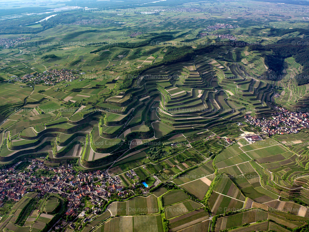 2597018 | Terassenweinberge am Kaiserstuhl bei Oberrotweil