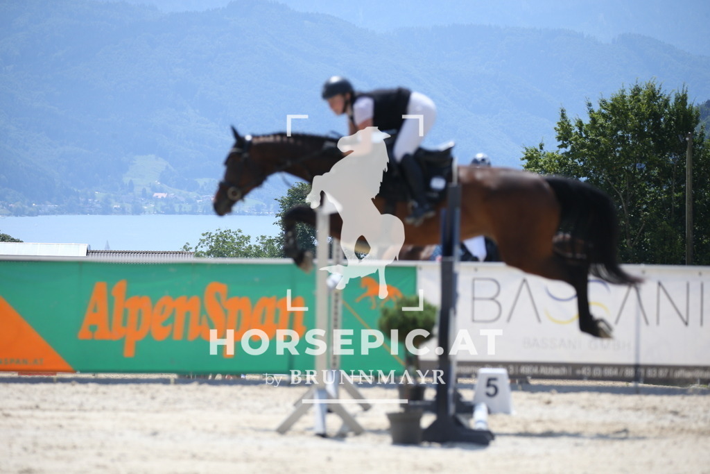 DL2Q1852 | Willkommen bei Brunnmayr - Design & Fotografie – Ihrem Spezialisten für Reitturniere und Pferdeveranstaltungen in Oberösterreich, Salzburg und Bayern! Seit über 17 Jahren sind wir leidenschaftlich dabei.