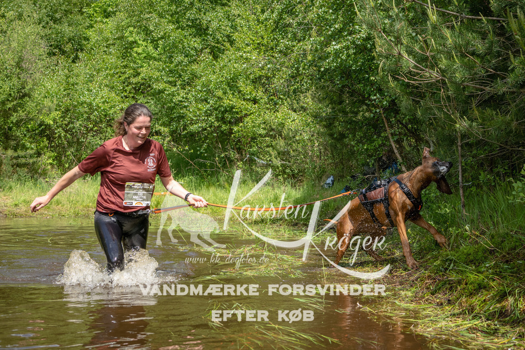 1215DKK992301 | kk-dogfotos