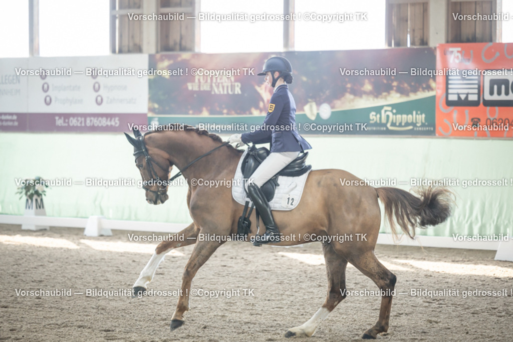 _D5A0616 | Emotionale Pferde- & People-Fotografie rund um Heidelberg, Leimen & Umgebung. Natürliche Fotos von Pferd, Mensch & Familie. Jetzt Termin sichern!