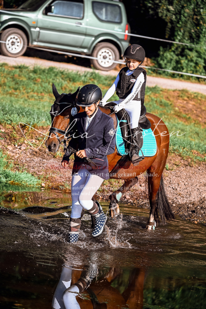 DSC_0294 | Pferde- und Turnierfotografie in Westsachsen. Pferdeportraits, Auftragszeichnungen und intuitive Kunst.