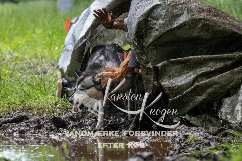 1105_ZZ91325 | kk-dogfotos