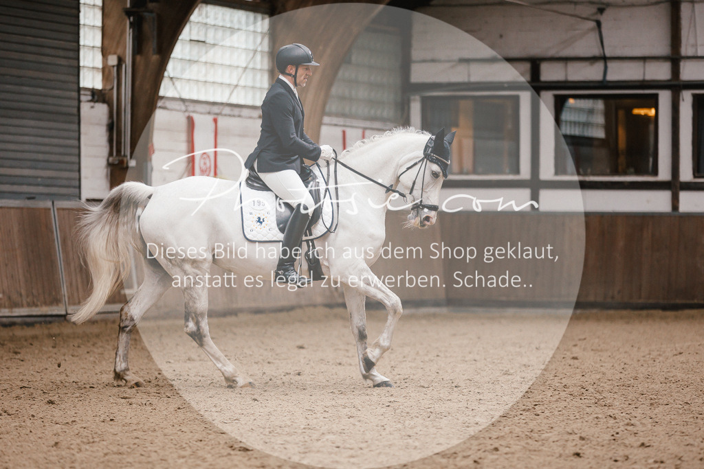 3I6A6868 | Stimmungsvolle Portraits und Reitsportfotografie im Ruhrgebiet und im Münsterland.

Pferdefotografie, Hundefotografie, Tierfotografie, Reportagen, Portraits von Tier und Mensch, Turnierfotografie in Bochum, Recklinghausen, Marl, Haltern am See, Dülmen.. - Realisiert mit Pictrs.com
