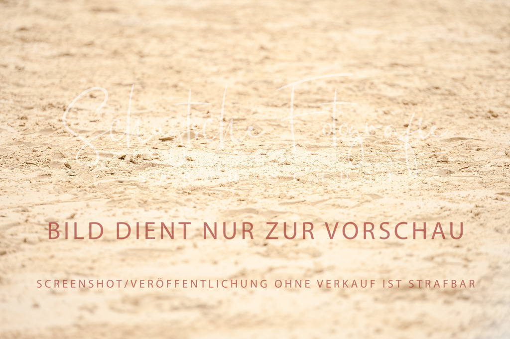 Schugtsche-Aluta25-42.EDressur -176 | Schugtsche Fotografie - Realized with Pictrs.com
