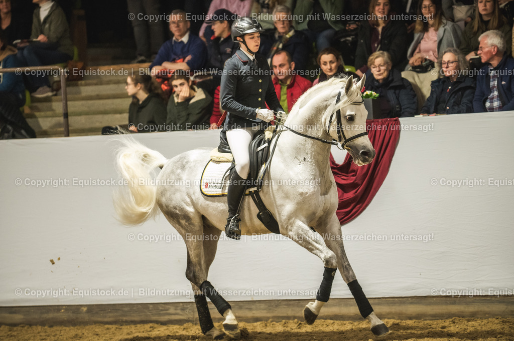 20240302_Hengstvorstellung_Marbach_TOMsPiC_1042 | equistock