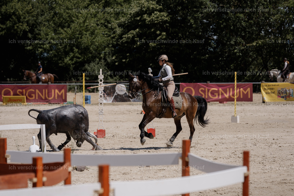 WM_SP_131_SinaFilmArt_IN06829 | working equitationturnier fotograf videograf stoibphotography marixx film working equitation deutschland reitsport turnierfotografie eventfotografie equestrian events