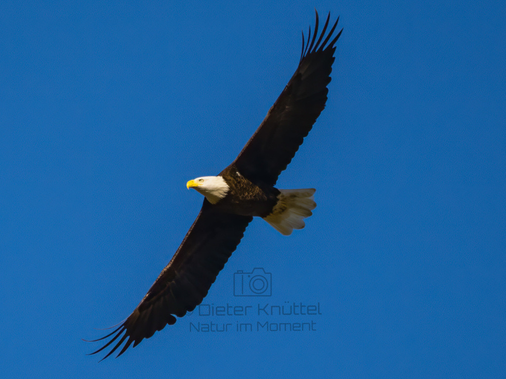 P1637220-Bearbeitet-2023-LR | Natur im Moment - Realisiert mit Pictrs.com