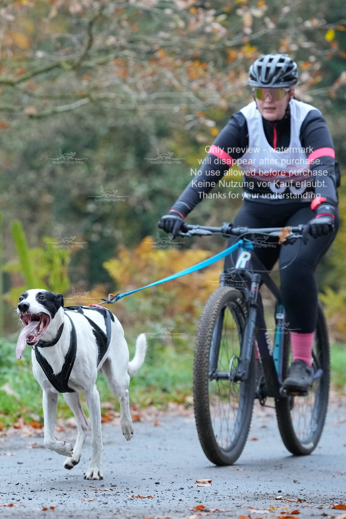 AusschnitteSo-42 | stephaniefillaphotographie - Realisiert mit Pictrs.com