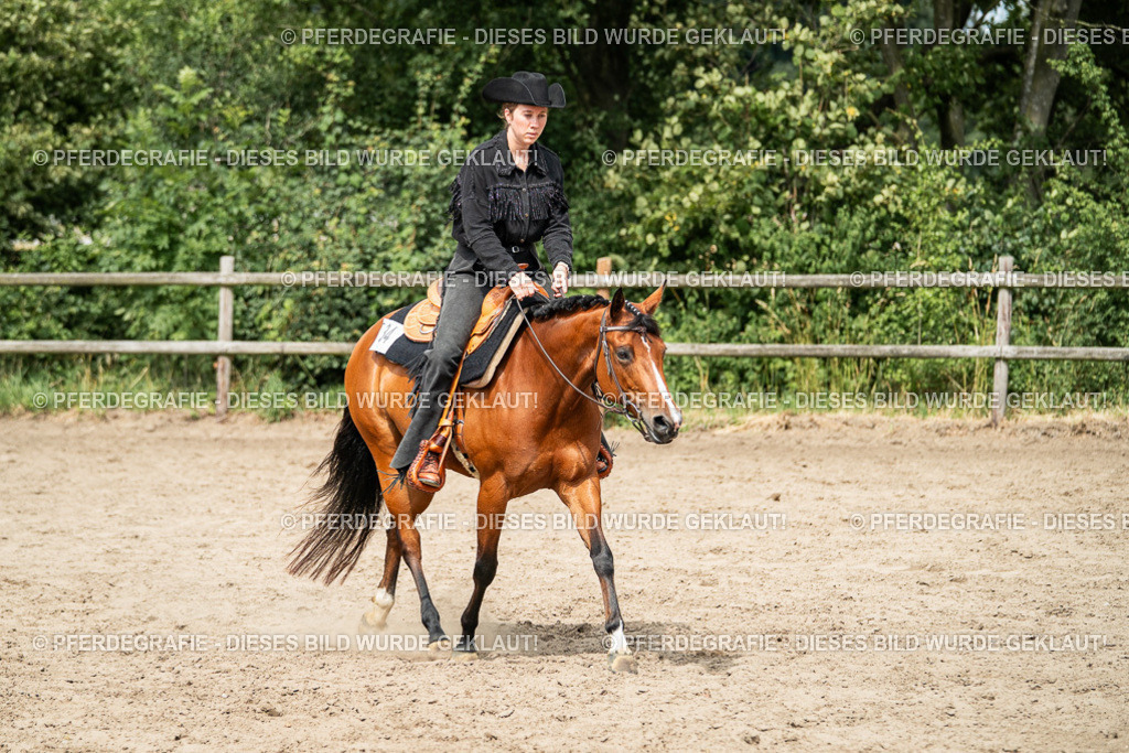 DSC02280 | Pferdegrafie