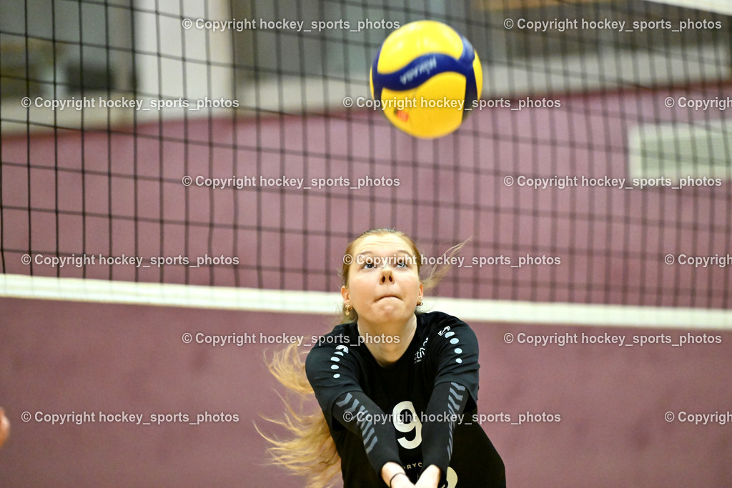 ASKÖ Volley Eagles Villach vs. VC Hausmannstätten | #9 STRANZL Jasmin VC Hausmannstätten, ASKÖ Volley Eagles Villach vs. VC Hausmannstätten, ASKÖ Volley Eagles Villach vs. VC Hausmannstätten am 01.02.2025 in Villach (Ballspielhalle Lind), Austria, (Photo by Bernd Stefan)