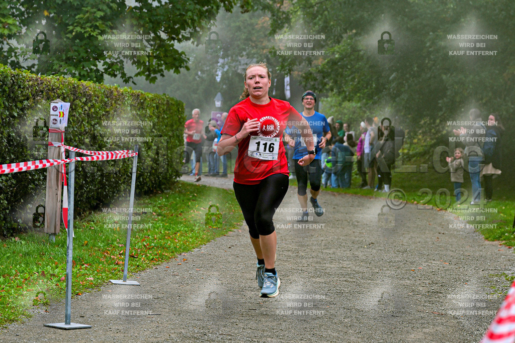 Z8N_1519 | la-psv - Realisiert mit Pictrs.com