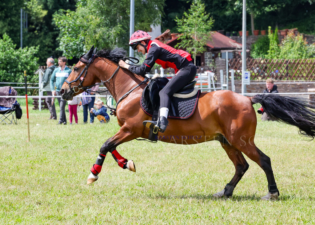 1B3A2348 | Reitsport Reiten