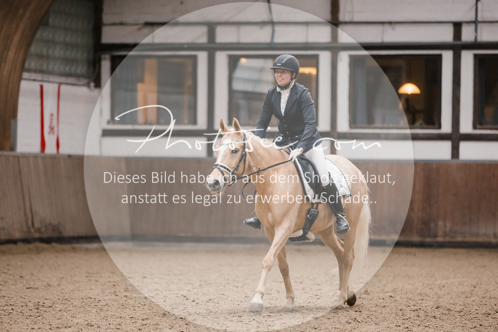 3I6A6237 | Stimmungsvolle Portraits und Reitsportfotografie im Ruhrgebiet und im Münsterland.

Pferdefotografie, Hundefotografie, Tierfotografie, Reportagen, Portraits von Tier und Mensch, Turnierfotografie in Bochum, Recklinghausen, Marl, Haltern am See, Dülmen.. - Realisiert mit Pictrs.com