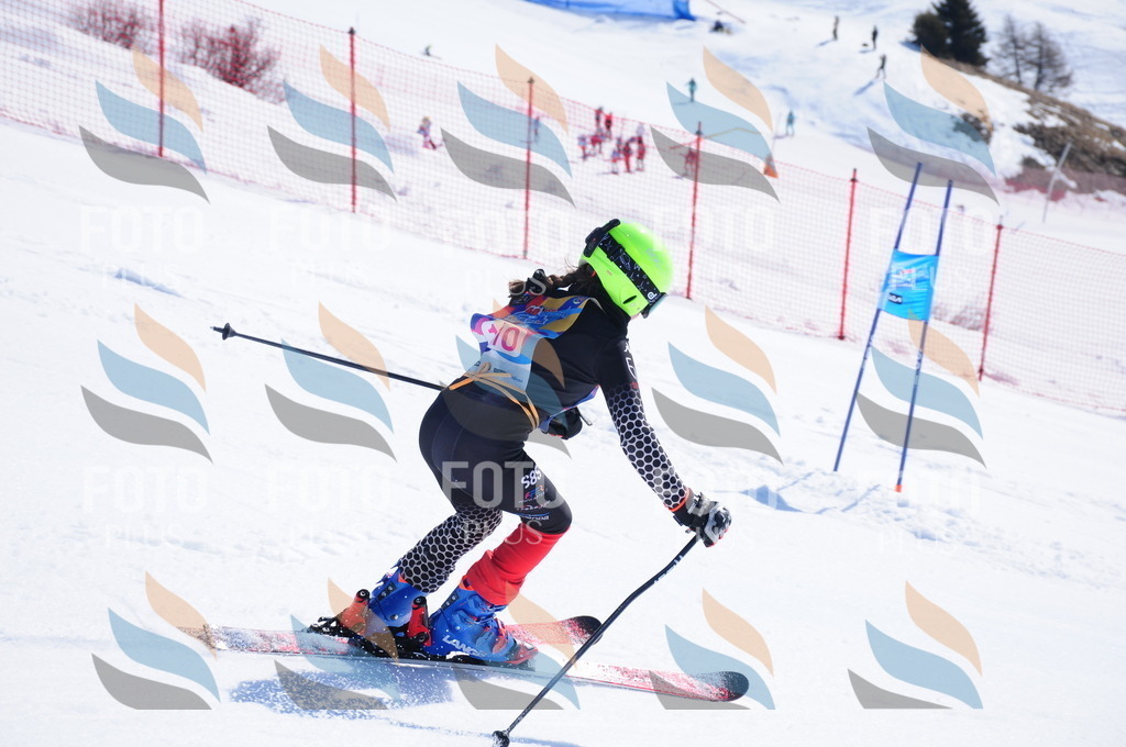 DSC_4863 | holidayphoto