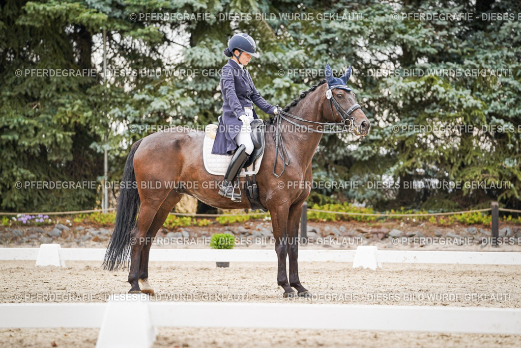 DSC07613 | Pferdegrafie