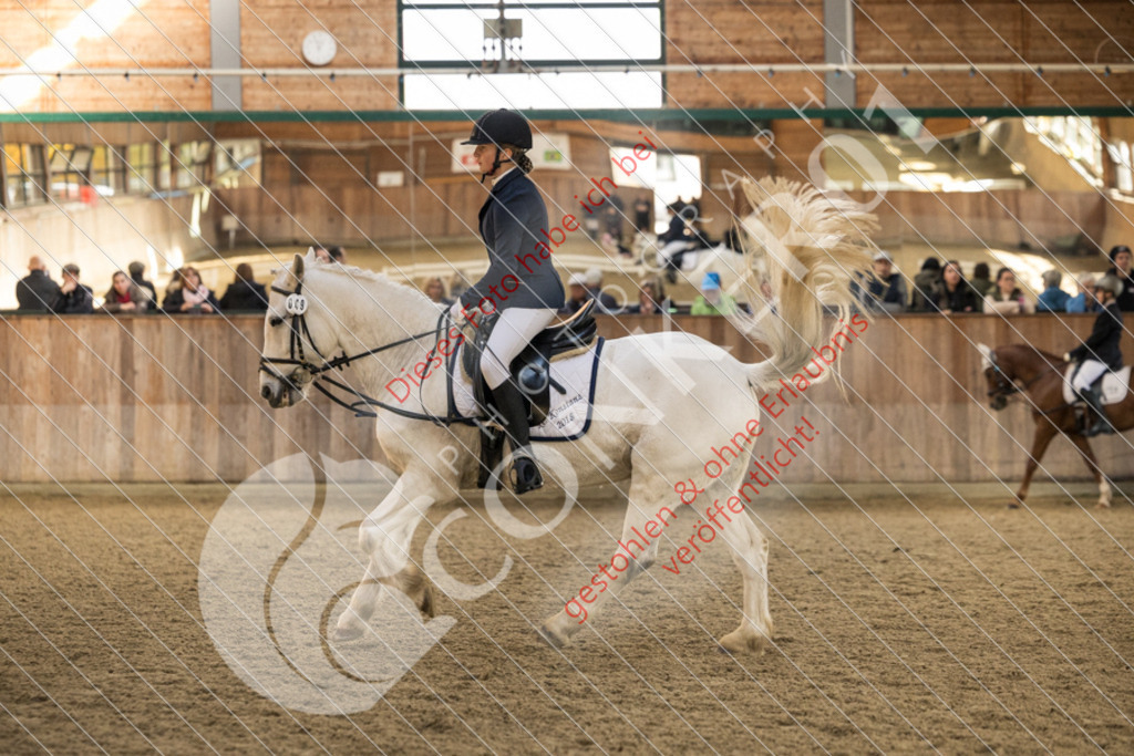 CON_6107 | Sport-, Event- und Tierfotos in Profiqualität. Einfach auswählen, bestellen und herunterladen. Dein Moment – perfekt festgehalten.