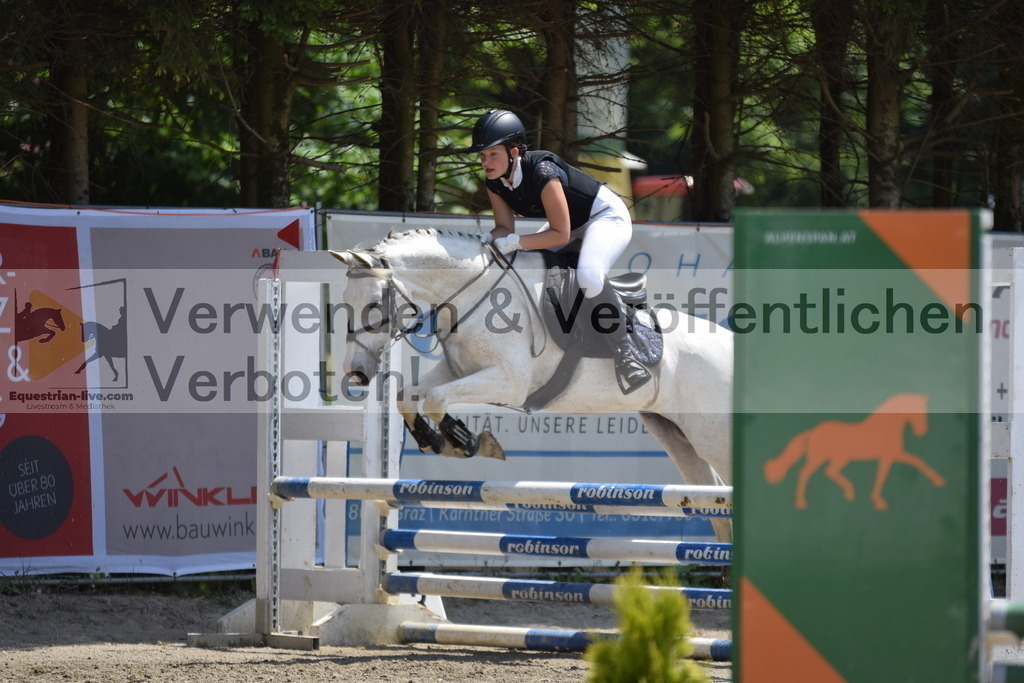 DSC_0006 | equestrian-live-com