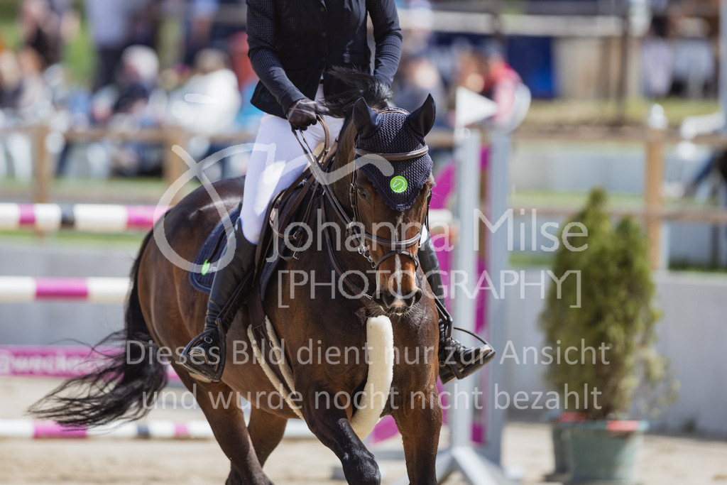 230501_SpengeW_M2St-216 | Deine schönsten Turniermomente als professionelle Fotos! Entdecke hochwertige Pferdesport-Fotografie im Online-Shop. Jetzt Fotos finden & bestellen!