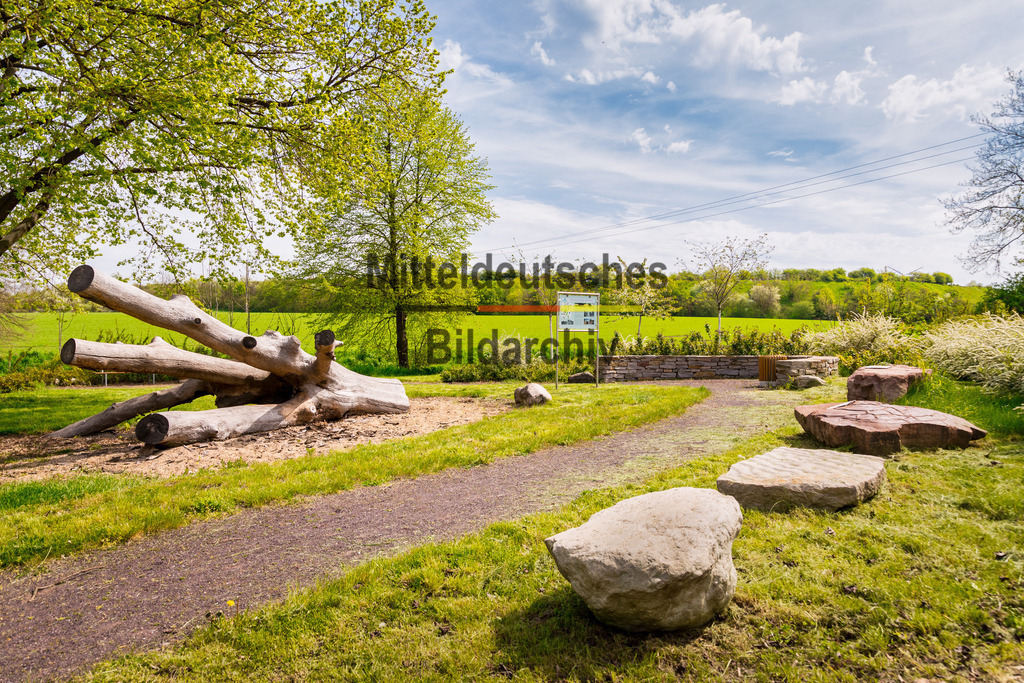 Mammendorf Wall _ Dorf-2844 | Park Eichenbarleben - Realisiert mit Pictrs.com