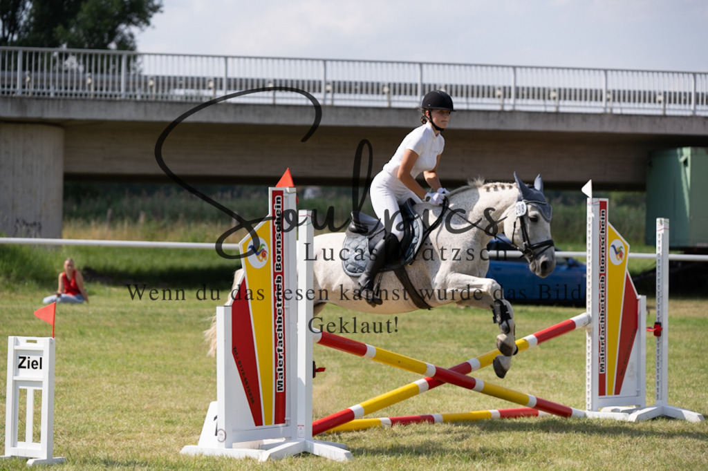 A7V00489 | Turnier/Reitfotograf