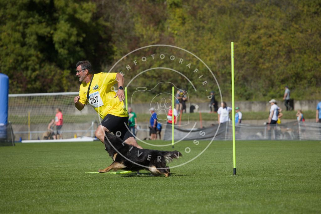 0L8A6397 | Hundefotografie, Tierfotograf, Pfotenfotografie, Fotoshooting Hund, Hunde Portrait, Hundesport, Hundeportraits, Heideshooting, Hunde, Sportfotograf, Hundefotograf, Turnierhundsport, THS,  - Realisiert mit Pictrs.com