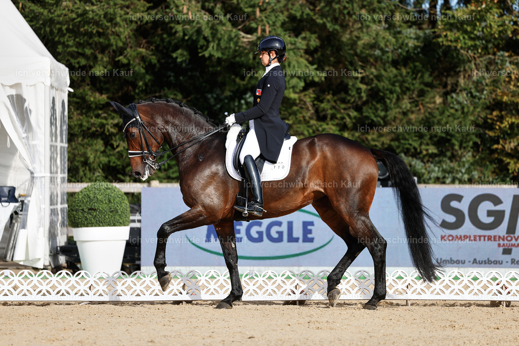 13-110-S___ -StoibPH-6935 | working equitationturnier fotograf videograf stoibphotography marixx film working equitation deutschland reitsport turnierfotografie eventfotografie equestrian events