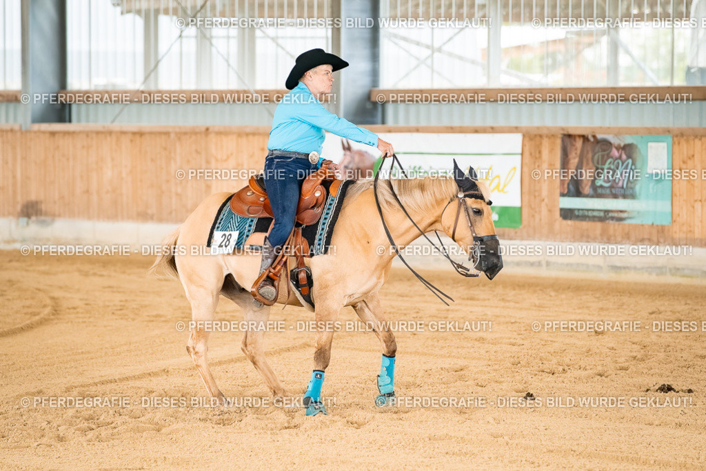 DSC02238 | Pferdegrafie