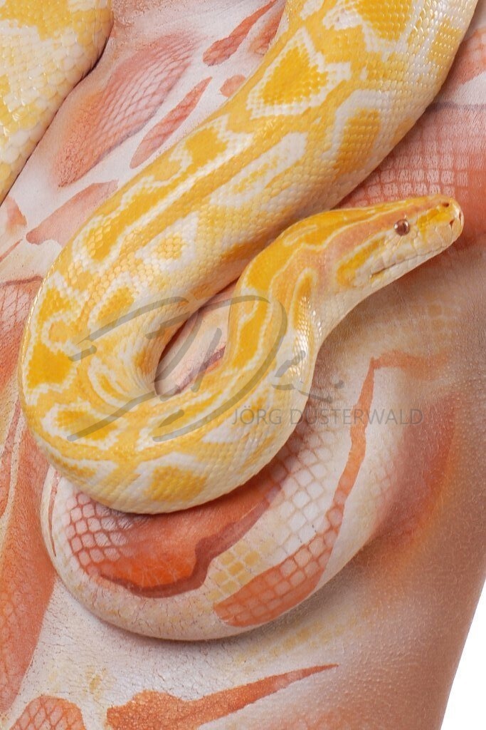 AnimalArt-SNAKE_7331a | #017 | Modell: Janina | Foto: Thorsten Ohmacht - Realisiert mit Pictrs.com