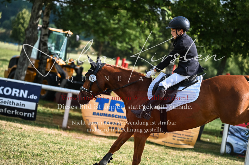 DSC_7788 | Pferde- und Turnierfotografie in Westsachsen. Pferdeportraits, Auftragszeichnungen und intuitive Kunst.