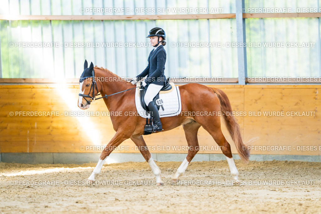 DSC06851 | Pferdegrafie