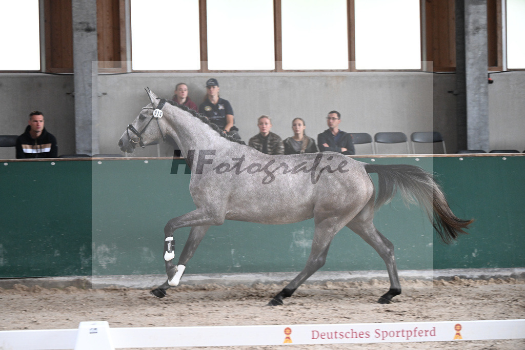 Kat-Nr. 14 Gingers Viktoria v. Vingino_Zellner_27150106 | hf-fotografie - Realizzato con Pictrs.com