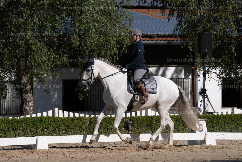 WL_DR_47_sinafilmart_IN06290 | working equitationturnier fotograf videograf stoibphotography marixx film working equitation deutschland reitsport turnierfotografie eventfotografie equestrian events